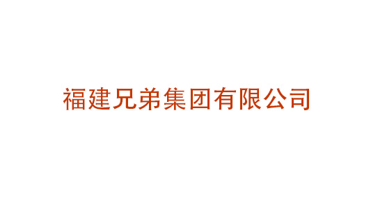 福建兄弟集團有限公司集團化管控體系設計